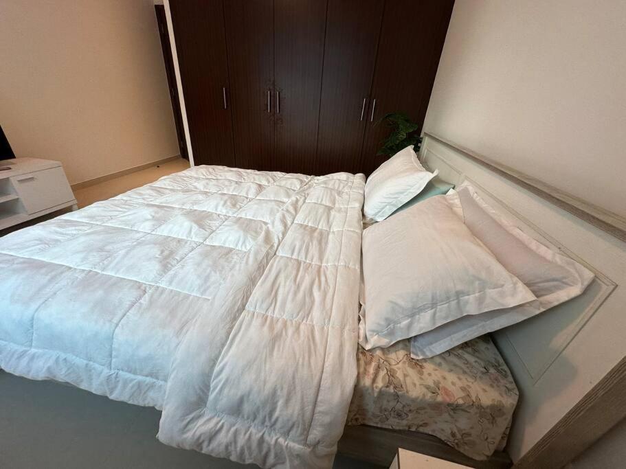 Luxurious Spacious Family Dubai